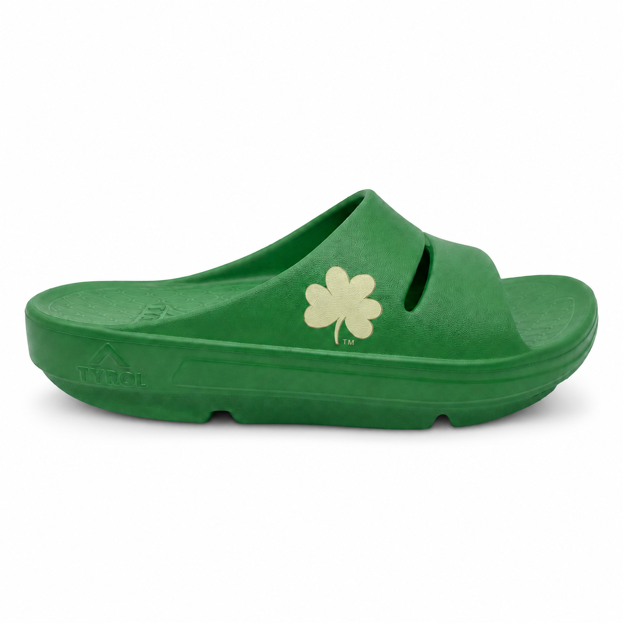 Notre Dame Recovery Slide