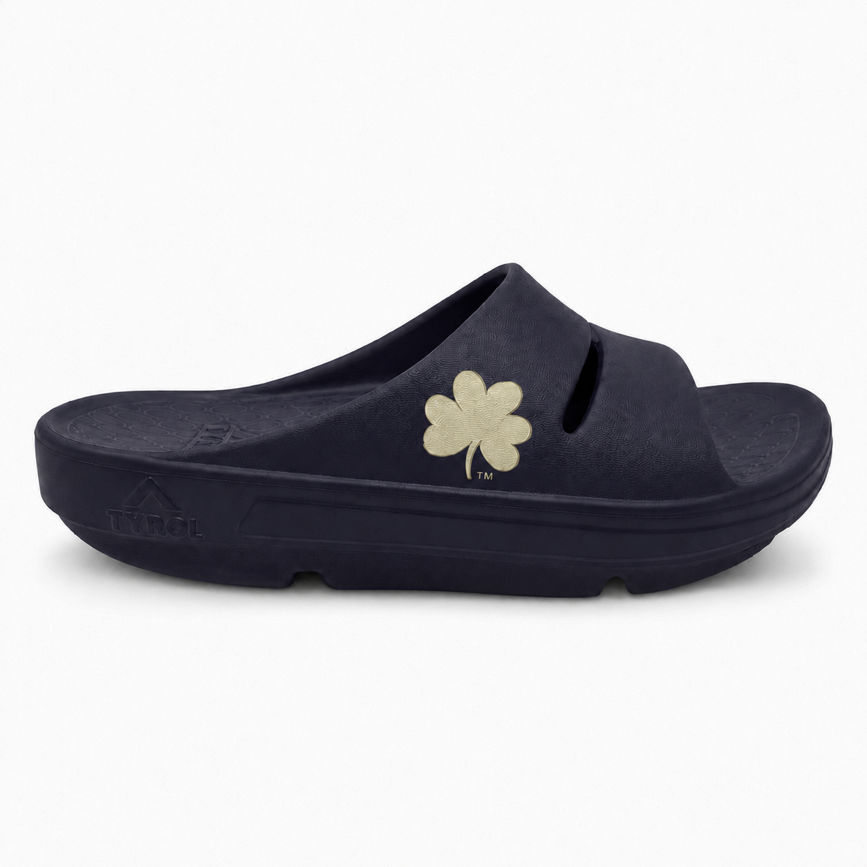 Notre Dame slide
